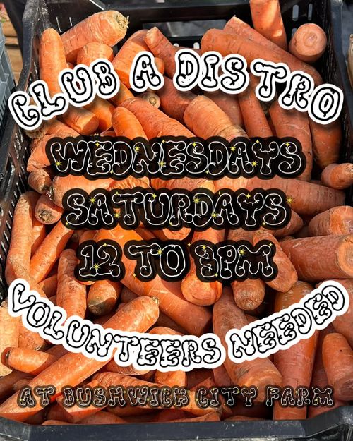 Club A Mutual Aid (Bushwick) – WEEKLY Wednesday Saturday